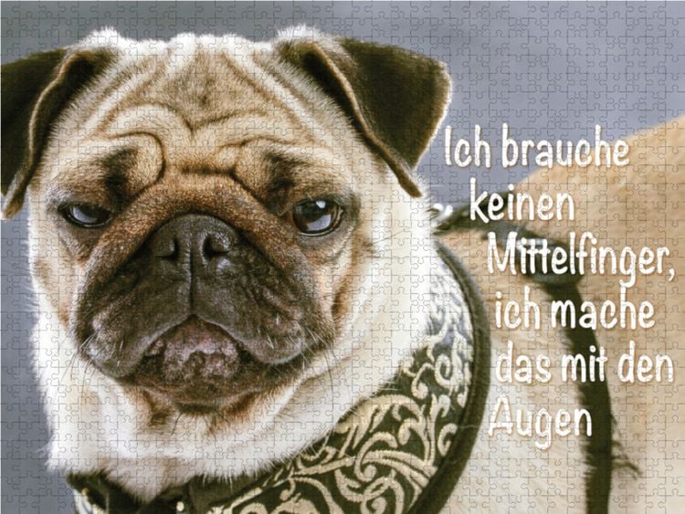 Produktbild: CALVENDO Puzzle Ich brauche keinen Mittelfinger, ich mache das mit den Augen. | 2000 Teile Lege-Gr&ouml;&szlig;e 90x67cm Foto-Puzzle f&uuml;r gl&uuml;ckliche Stunden