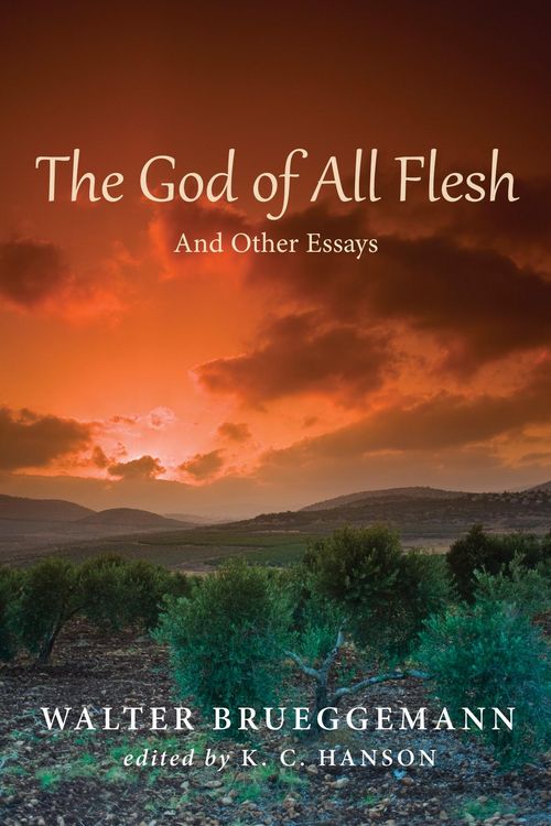 Produktbild: The God of All Flesh