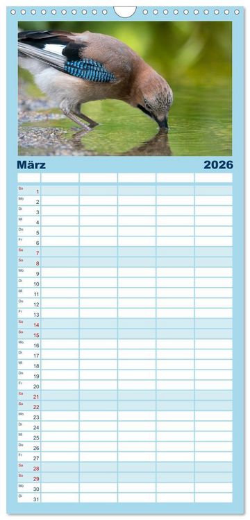 Produktbild: Familienplaner 2026 - Unsere Vogelvielfalt: Ein Schatz zum Entdecken und Sch&uuml;tzen mit 5 Spalten (Wandkalender, 21 x 45 cm) CALVENDO