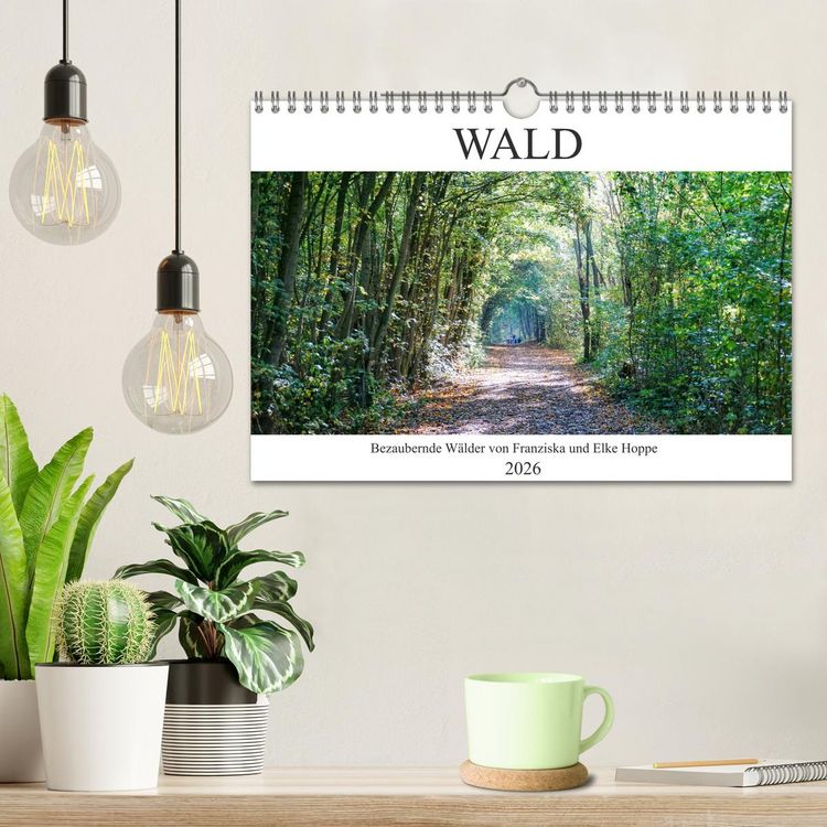 Produktbild: Wald - bezaubernde W&auml;lder (Wandkalender 2026 DIN A4 quer), CALVENDO Monatskalender