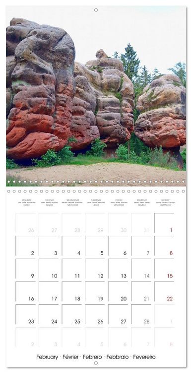 Produktbild: Saxony's rural idyll (Wall Calendar 2026 12 &times; 12 Inch) CALVENDO 12 Month Wall Calendar
