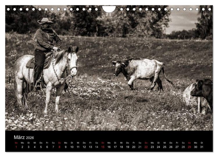 Produktbild: Westernreiten (Wandkalender 2026 DIN A4 quer), CALVENDO Monatskalender