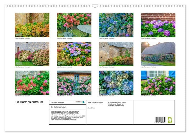 Produktbild: Ein Hortensientraum (Wandkalender 2026 DIN A2 quer), CALVENDO Monatskalender
