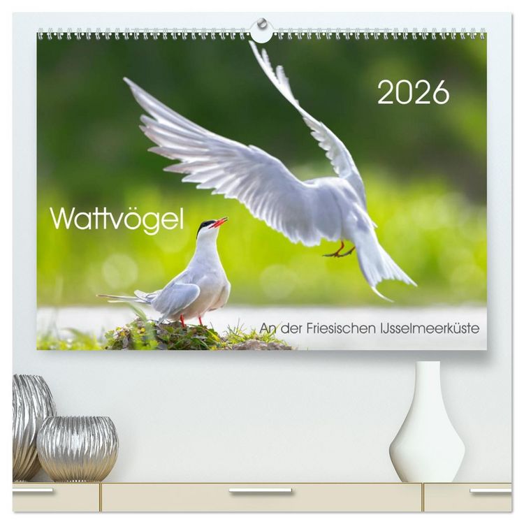 Produktbild: Wattv&ouml;gel an der Friesischen IJsselmeerk&uuml;ste (hochwertiger Premium Wandkalender 2026 DIN A2 quer), Kunstdruck in Hochglanz