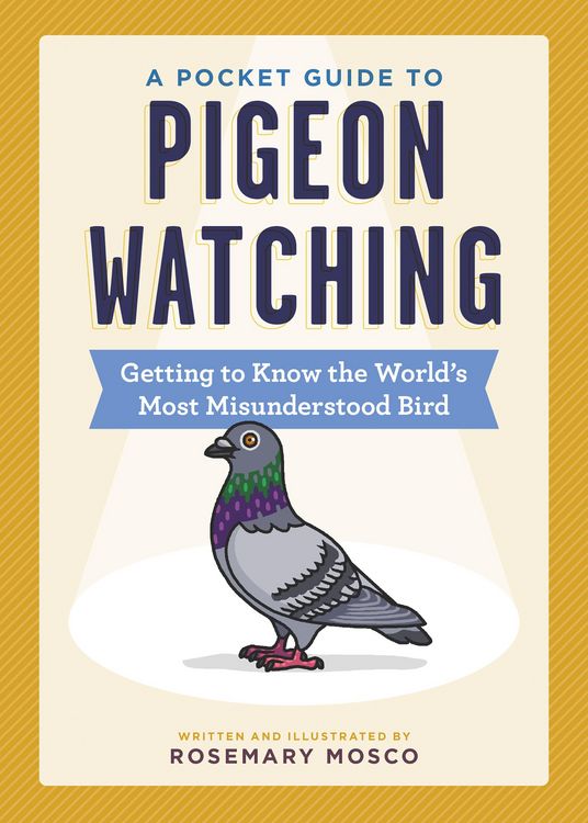 Produktbild: A Pocket Guide to Pigeon Watching