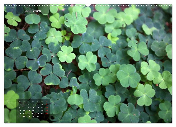 Produktbild: Gl&uuml;cksbringer (Wandkalender 2026 DIN A2 quer), CALVENDO Monatskalender