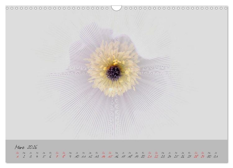 Produktbild: Bl&uuml;ten FineArt (Wandkalender 2026 DIN A3 quer), CALVENDO Monatskalender