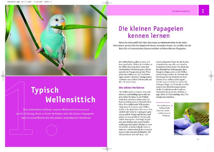 Produktbild: Mein Wellensittich