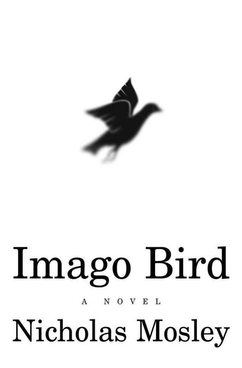 Produktbild: Imago Bird