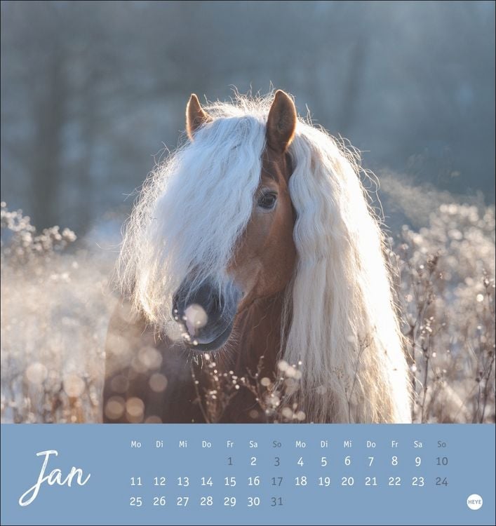 Produktbild: Pferde Postkartenkalender 2027 - Starke Freunde