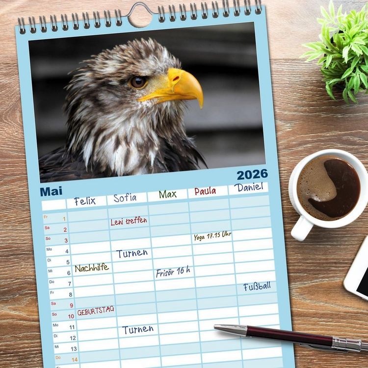 Produktbild: Familienplaner 2026 - Greifv&ouml;gel, Eulen und K&auml;uze mit 5 Spalten (Wandkalender, 21 x 45 cm) CALVENDO