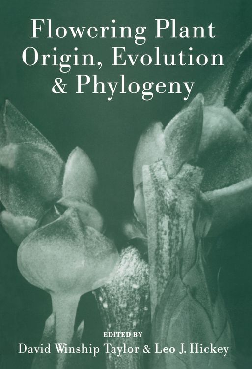 Produktbild: Flowering Plant Origin, Evolution & Phylogeny