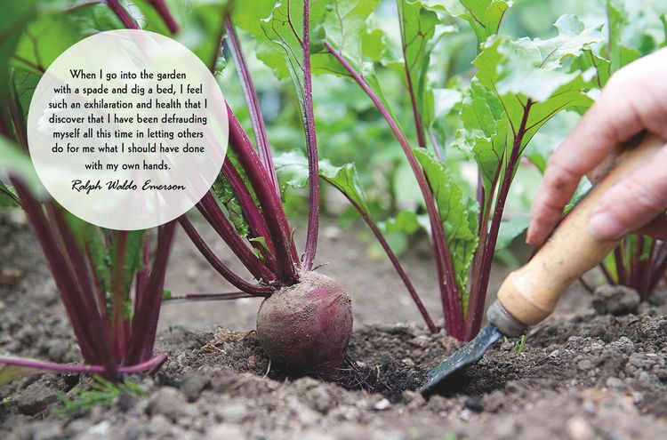 Produktbild: Mindful Gardening