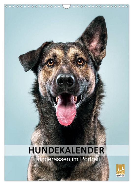 Produktbild: Hundekalender - Hunderassen im Portrait (Wandkalender 2026 DIN A3 hoch), CALVENDO Monatskalender