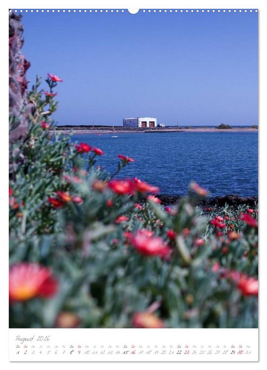 Produktbild: Fuerteventura, wilde Sch&ouml;nheit im Atlantik (hochwertiger Premium Wandkalender 2026 DIN A2 hoch), Kunstdruck in Hochglanz