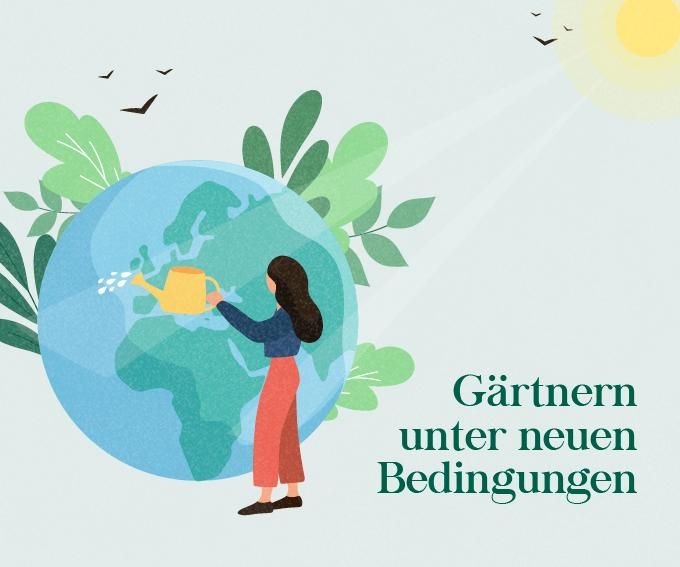 Produktbild: G&auml;rtnern im Wandel