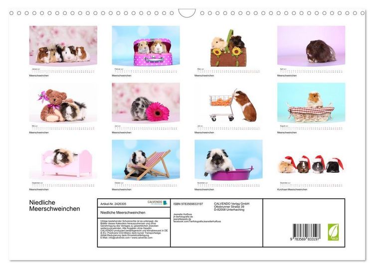 Produktbild: Niedliche Meerschweinchen (Wandkalender 2027 DIN A3 quer), CALVENDO Monatskalender