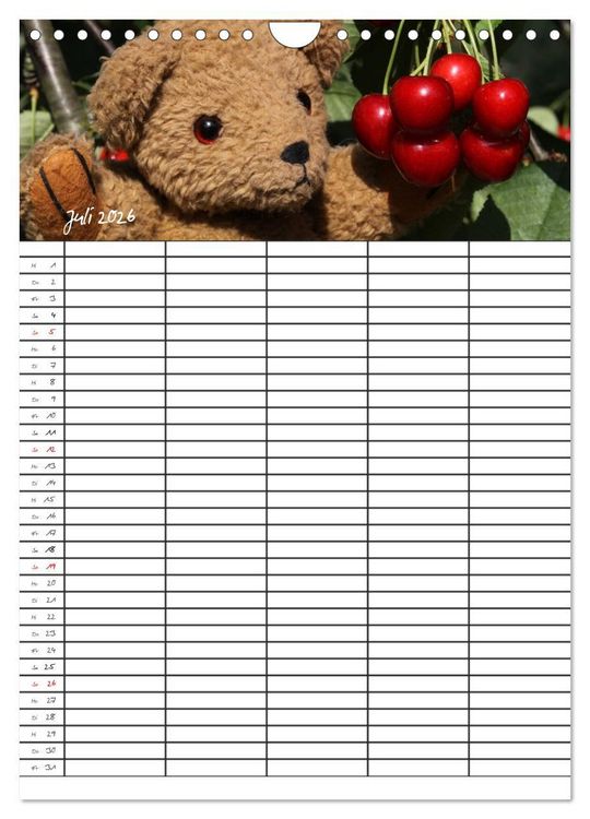 Produktbild: Der Teddyb&auml;ren-Familienplaner (Wandkalender 2026 DIN A4 hoch), CALVENDO Monatskalender
