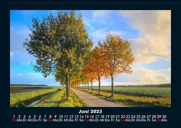 Produktbild: B&auml;ume 2025 Fotokalender DIN A5