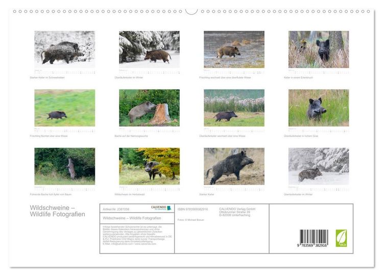 Produktbild: Wildschweine &ndash; Wildlife Fotografien (hochwertiger Premium Wandkalender 2027 DIN A2 quer), Kunstdruck in Hochglanz