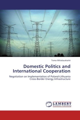 Produktbild: Mikalauskaite, T: Domestic Politics and International Cooper