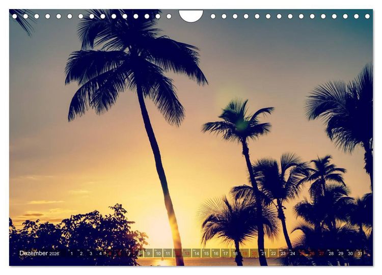Produktbild: Florida - Sunshine State (Wandkalender 2026 DIN A4 quer), CALVENDO Monatskalender