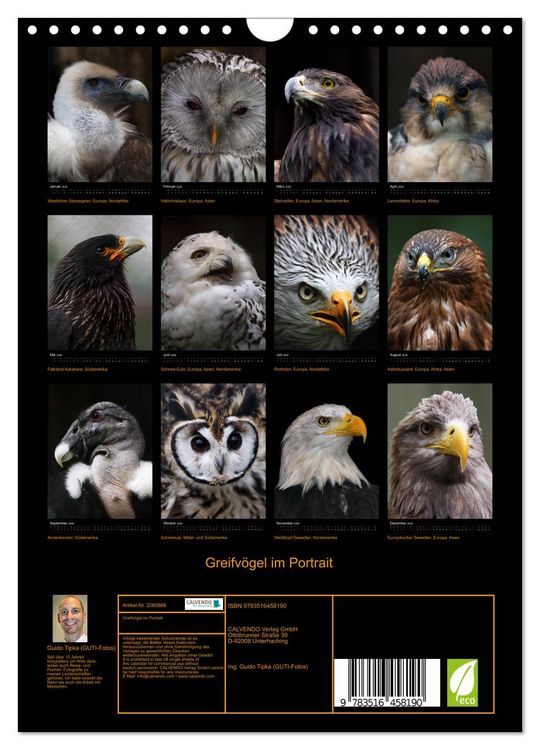 Produktbild: Greifv&ouml;gel im Portrait (Wandkalender 2026 DIN A4 hoch), CALVENDO Monatskalender
