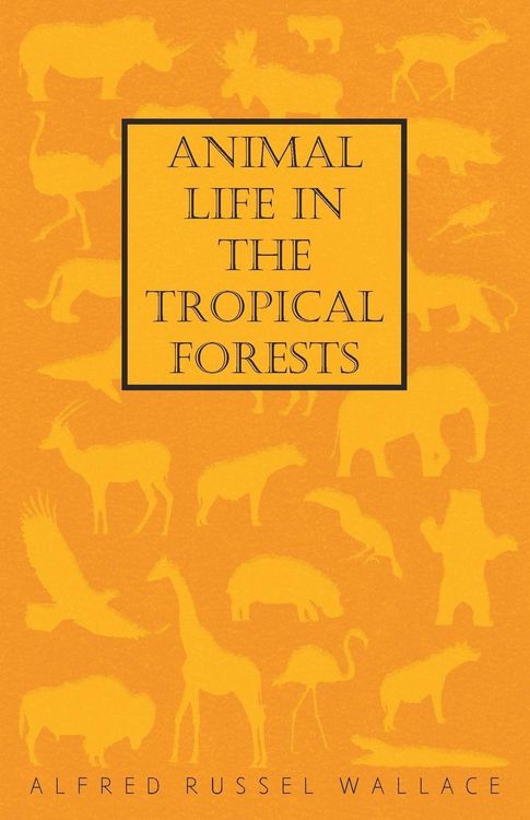 Produktbild: Animal Life in the Tropical Forests