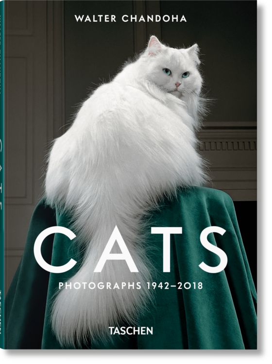 Produktbild: Walter Chandoha. Cats. Photographs 1942&ndash;2018