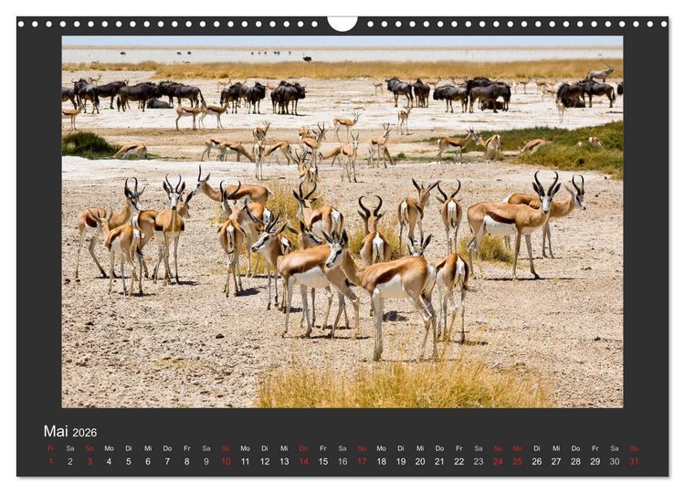 Produktbild: Facetten Namibias (Wandkalender 2026 DIN A3 quer), CALVENDO Monatskalender