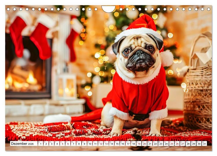 Produktbild: Mops-Mania - Der Spa&szlig;kalender f&uuml;r Mops-Fans (Wandkalender 2026 DIN A4 quer), CALVENDO Monatskalender