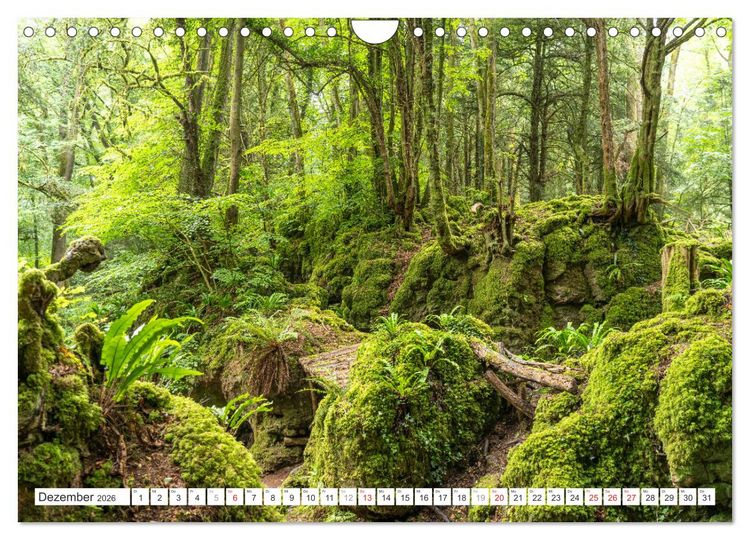 Produktbild: Faszination Naturwunder (Wandkalender 2026 DIN A4 quer), CALVENDO Monatskalender