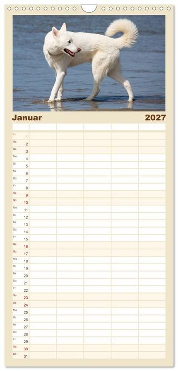 Produktbild: Familienplaner 2027 - Freunde auf vier Pfoten am Strand mit 5 Spalten (Wandkalender, 21 x 45 cm) CALVENDO