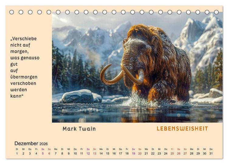 Produktbild: Pfiffig und weise (Tischkalender 2026 DIN A5 quer), CALVENDO Monatskalender