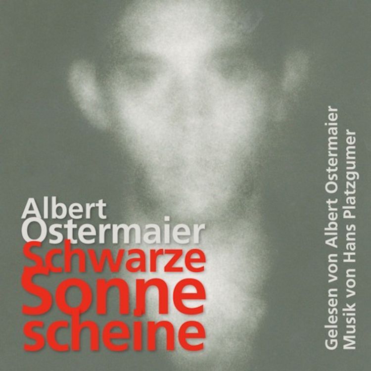 Produktbild: Schwarze Sonne scheine