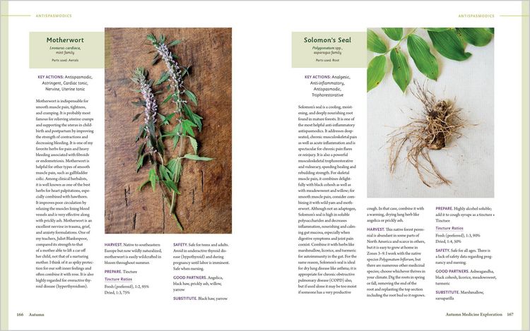 Produktbild: The Herbal Year
