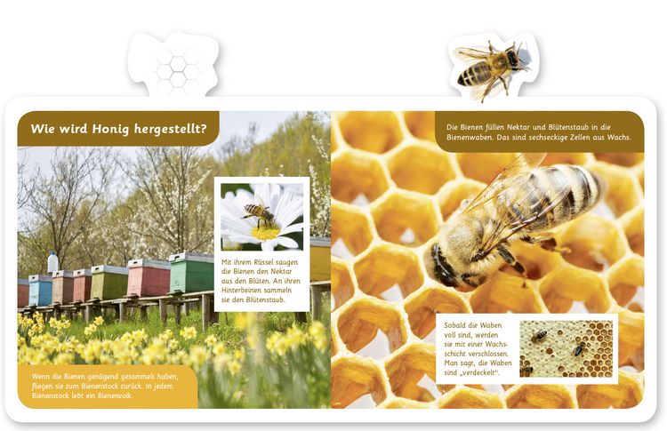 Produktbild: Die Biene