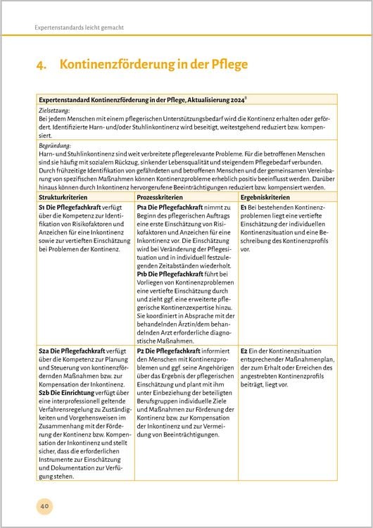 Produktbild: Expertenstandards leicht gemacht