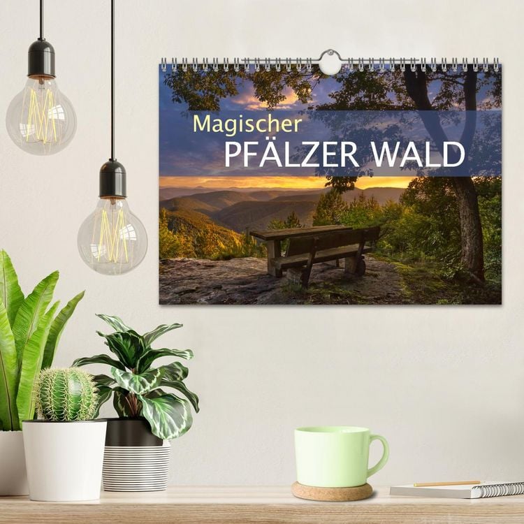 Produktbild: Magischer Pf&auml;lzer Wald (Wandkalender 2026 DIN A4 quer), CALVENDO Monatskalender