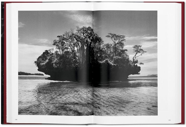 Produktbild: Sebasti&atilde;o Salgado. GENESIS