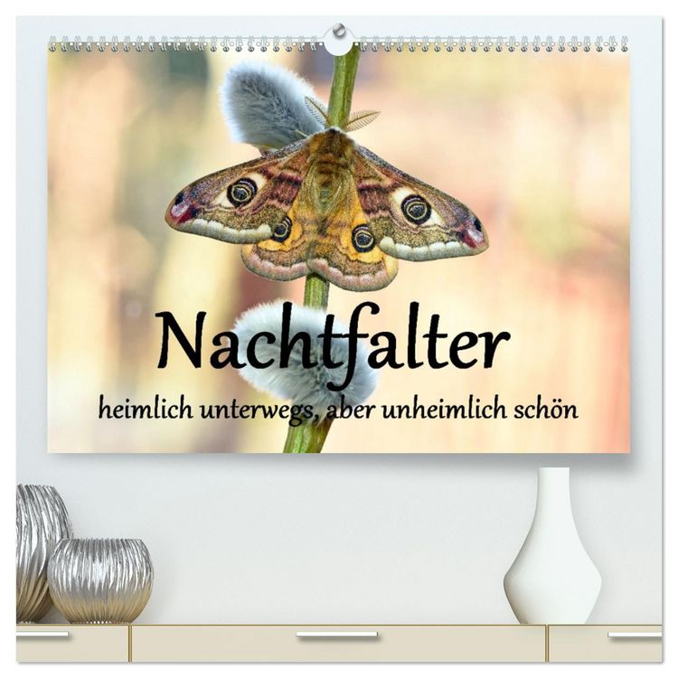 Produktbild: Nachtfalter - heimlich unterwegs, aber unheimlich sch&ouml;n (hochwertiger Premium Wandkalender 2026 DIN A2 quer), Kunstdruck in Hochglanz