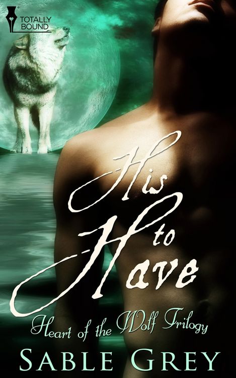 Produktbild: His to Have