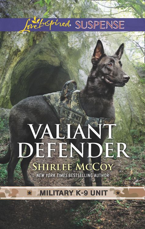 Produktbild: Valiant Defender