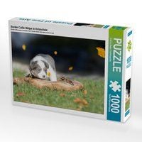 Produktbild: CALVENDO Puzzle Border Collie Welpe in Holzschale 1000 Teile Lege-Gr&ouml;&szlig;e 64 x 48 cm Foto-Puzzle Bild von Andrea Mayer Tierfotografie