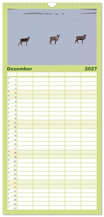 Produktbild: Familienplaner 2027 - Tierkalender 2027 mit 5 Spalten (Wandkalender, 21 x 45 cm) CALVENDO