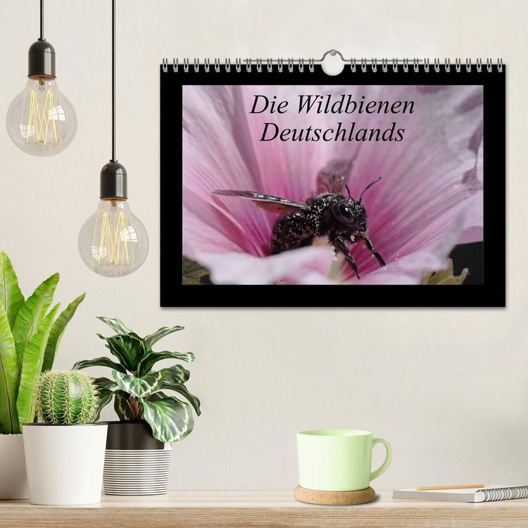 Produktbild: Die Wildbienen Deutschlands (Wandkalender 2026 DIN A4 quer), CALVENDO Monatskalender