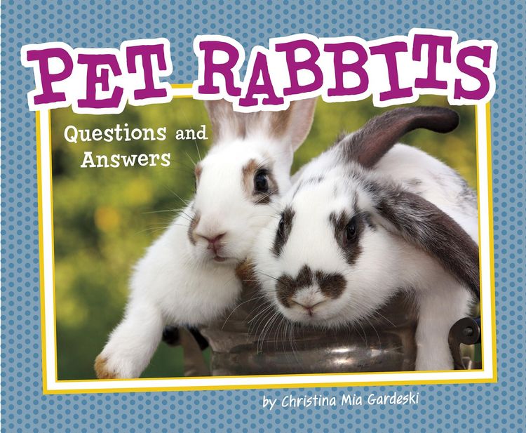 Produktbild: Pet Rabbits