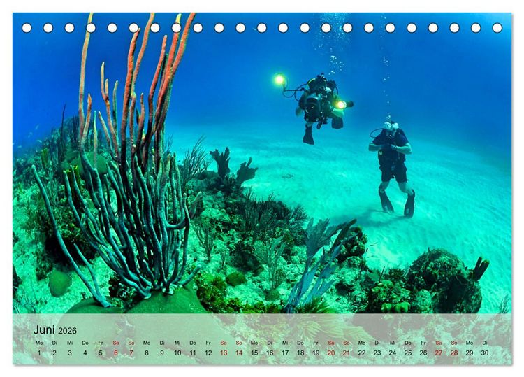 Produktbild: Erlebnis Tauchen - faszinierende Unterwasserwelt (Tischkalender 2026 DIN A5 quer), CALVENDO Monatskalender