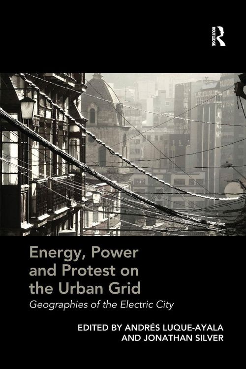 Produktbild: Energy, Power and Protest on the Urban Grid