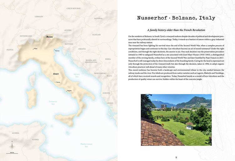 Produktbild: Atlas of urban vineyards